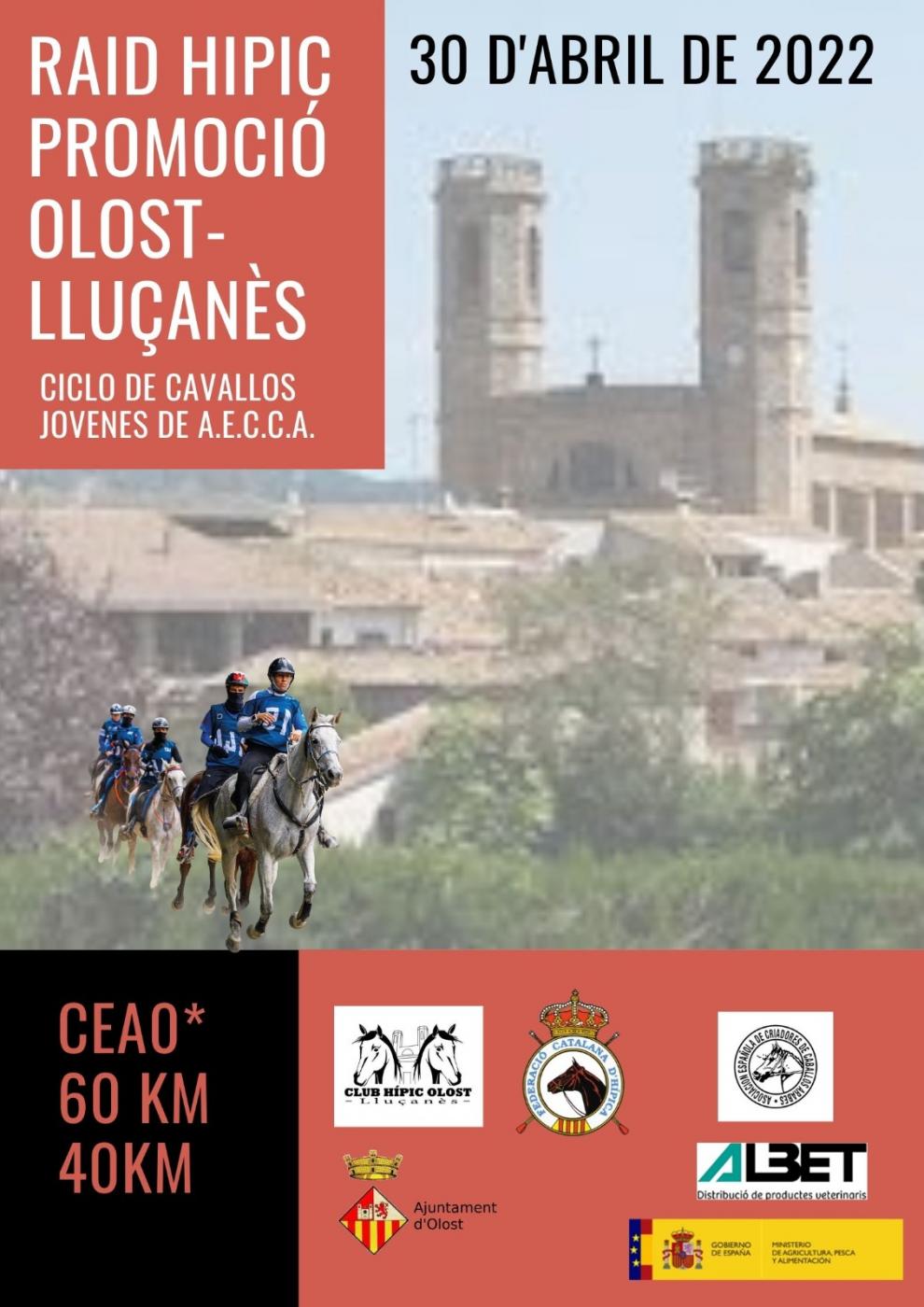 Raid hípic promoció Olost - Lluçanès